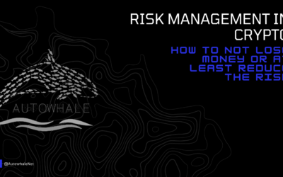 Risk management in crypto – Best strategies on how to not lose money or at least reduce the risk