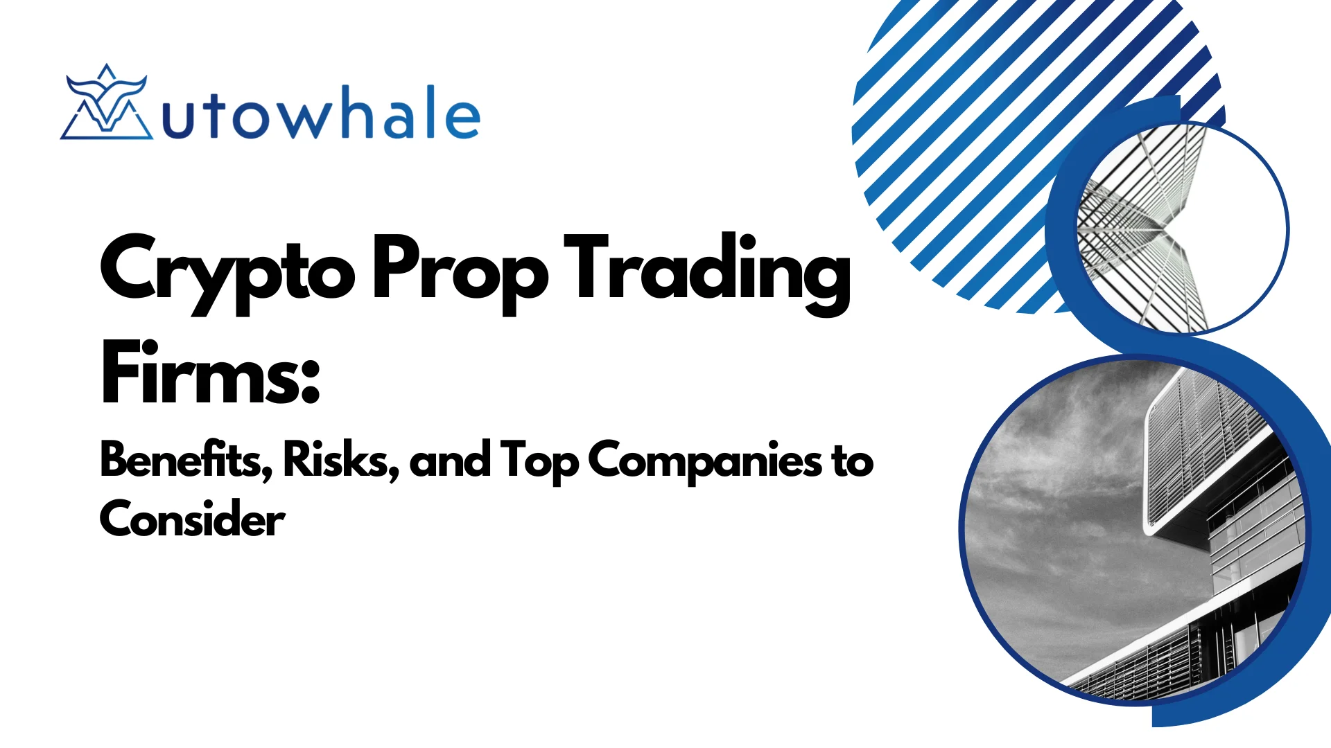Crypto Prop Trading Firms: Benefits, Risks, and Top 5 Companies to Consider